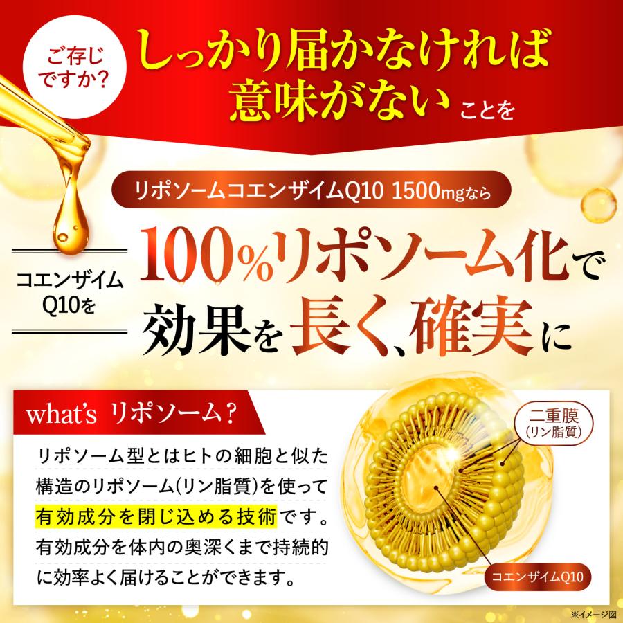 リポソームコエンザイムQ10 1500 CoQ10 亜鉛 α-リポ酸 カルニチン 高麗
