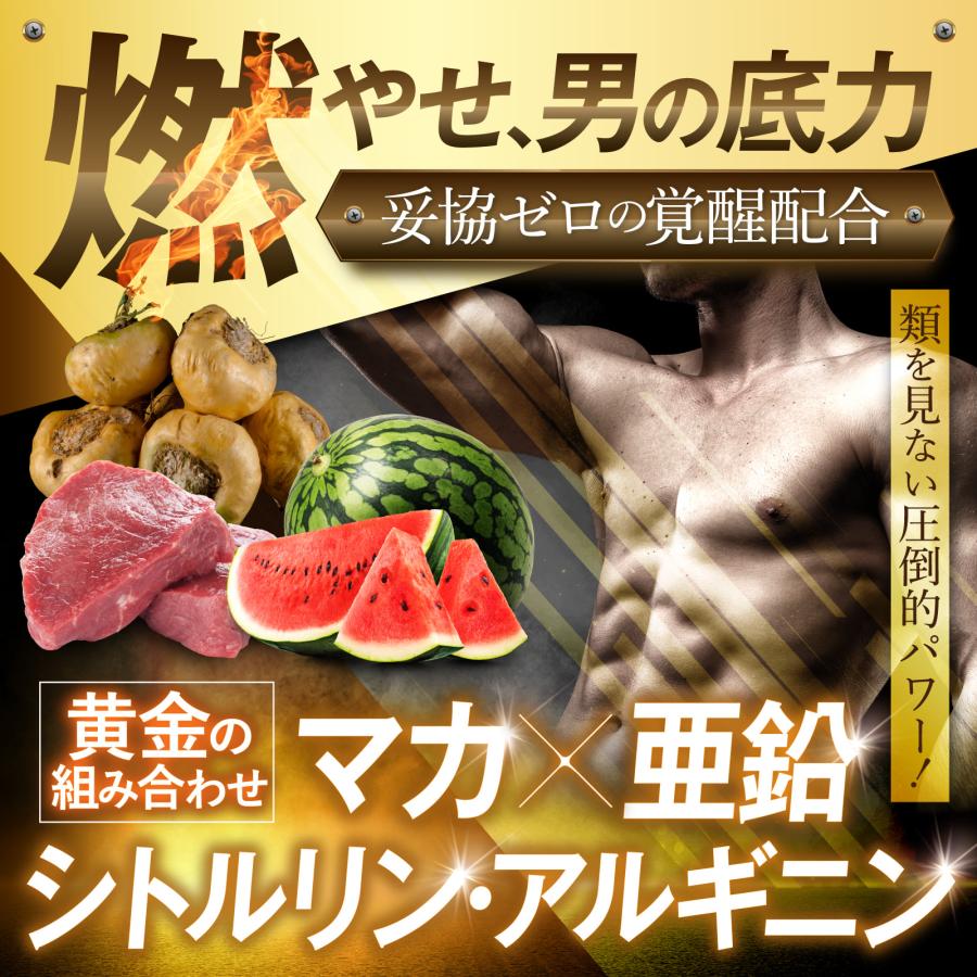 マカストロング GORILLA POWER マカ 亜鉛 シトルリン アルギニン