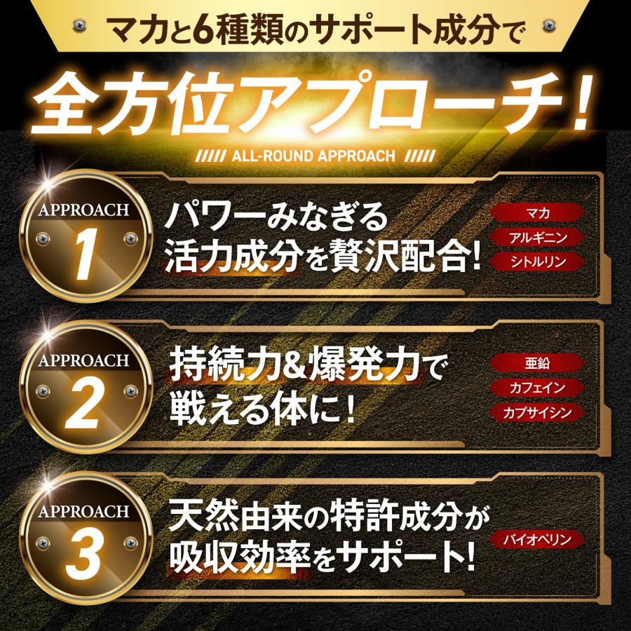 マカストロング GORILLA POWER マカ 亜鉛 シトルリン アルギニン