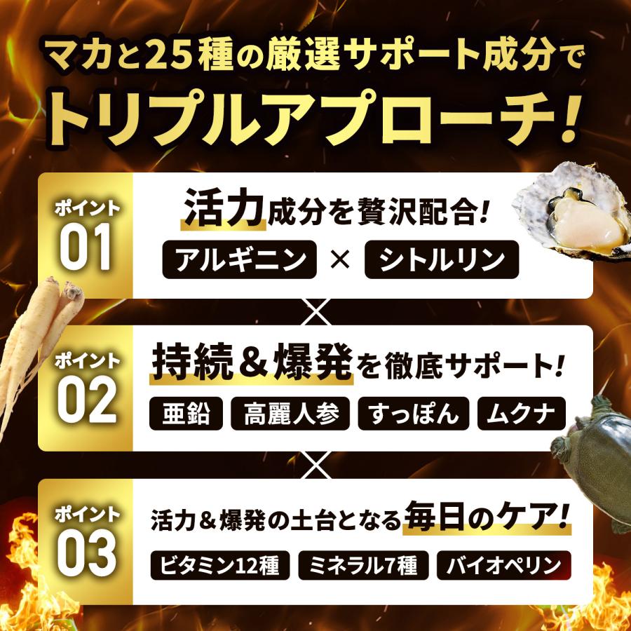 マカ 20倍濃縮マカ 200,000mg 活力×爆発力 亜鉛 シトルリン