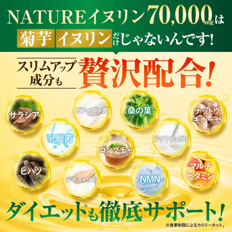 NATUREイヌリン 70,000mg 水溶性食物繊維 菊芋 サラシア ビフィズス菌