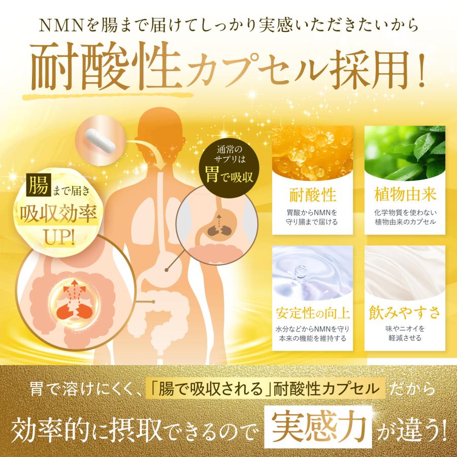 NMN GORILLA POWER 70,000mg 日本製 耐酸性カプセル 210カプセル 約70