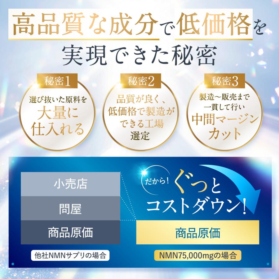 NMN 75,000mg リポソームビタミンC 3,150mg 耐酸性カプセル 210