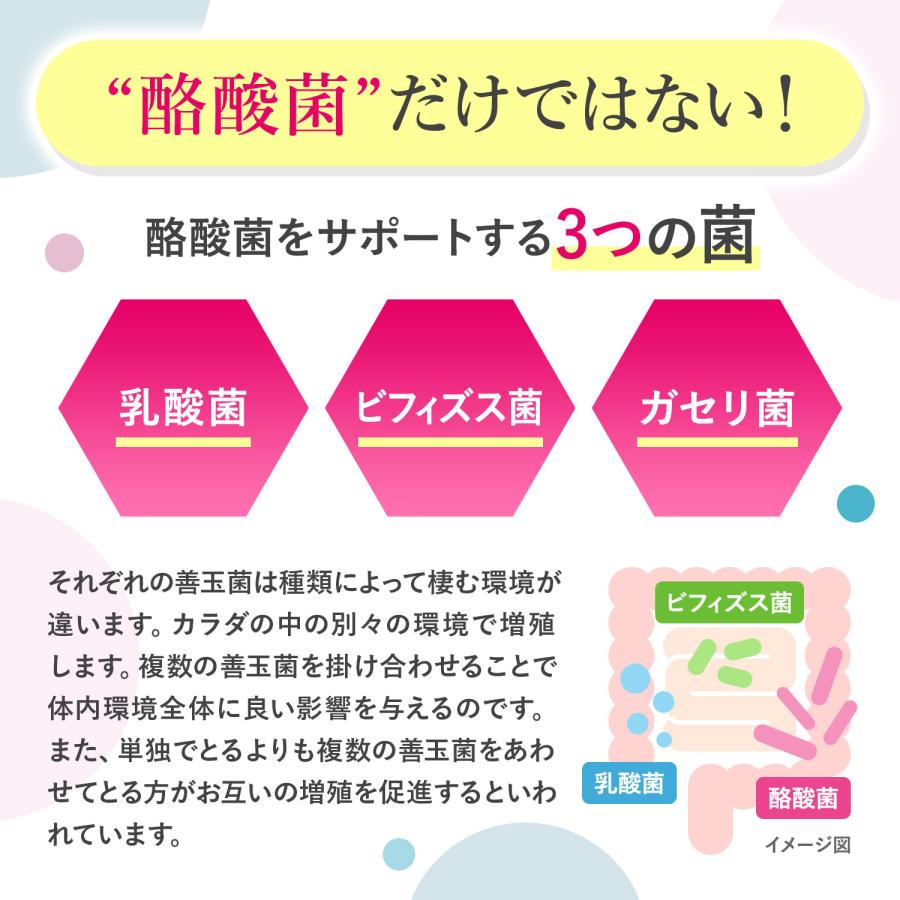 酪酸菌 乳酸菌 25億個 短鎖脂肪酸 ビフィズス菌 フラクトオリゴ糖