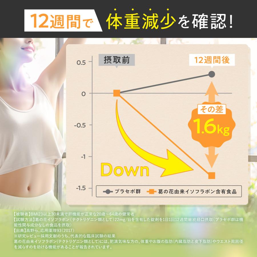 ダイエット ファットダウンサポートスムージー 体重やお腹の脂肪を