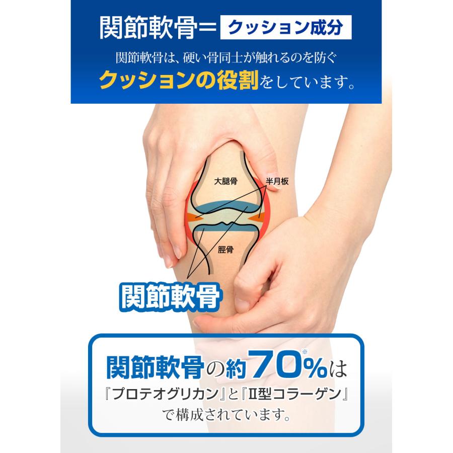 6袋セット やわた 国産プロテオグリカン 3g 1袋15粒入 1粒200mg