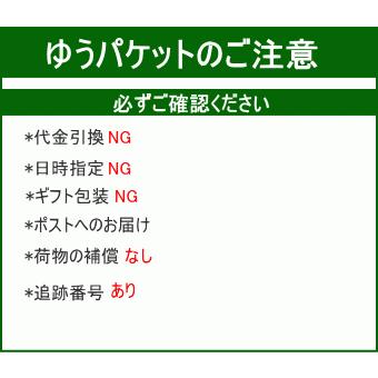 エプロン おしゃれ 涼しい 日本製 リネン コットン エプロン 麻 綿 北欧エプロン 前結び エプロン カフェ フルーツ 21-5205｜perleunpeu｜13