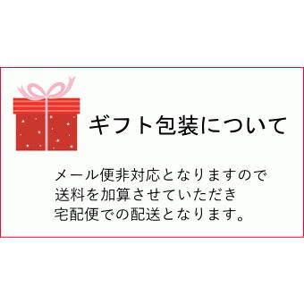 ナイロン エプロン 春夏 撥水 エプロン チュニック  チュニックエプロン エプロン ワンピース リボン エプロン 洗える 21-9747｜perleunpeu｜21