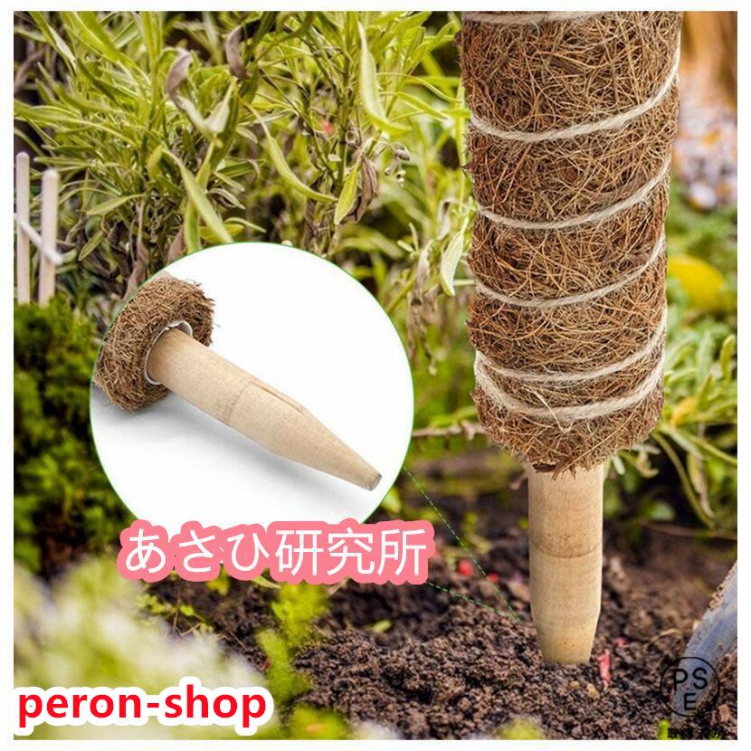 ココスティック 3本セット モンステラ 支柱 観葉植物 おしゃれ プランター 植木鉢 植物 園芸支柱 観葉支柱 ガーデニング ココスティック支柱｜peron-shop｜10