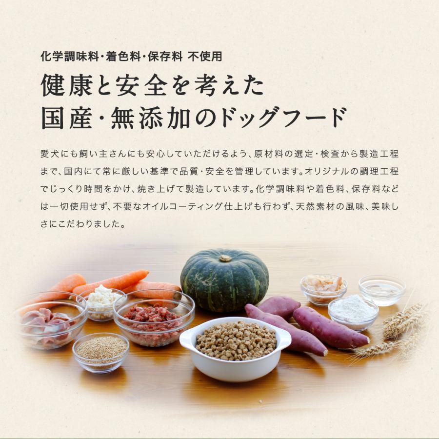 PERORI ドッグフード 無添加 国産 ペロリ 鶏肉 通常粒 1Kg入り×3袋