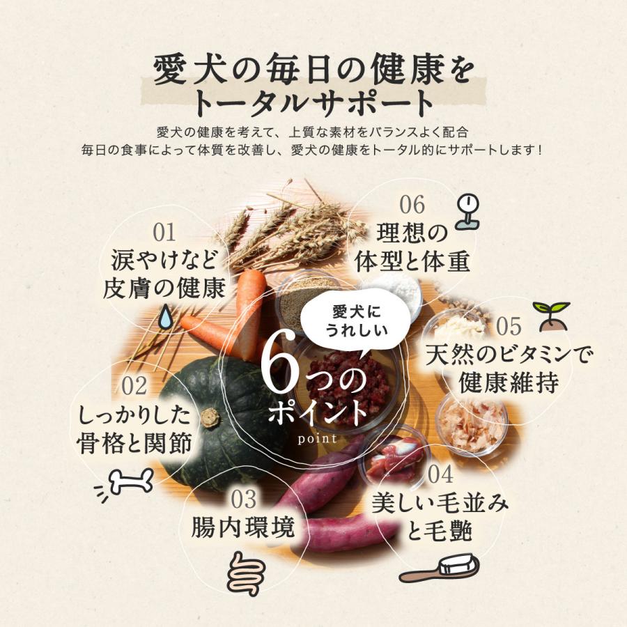 PERORI ドッグフード 無添加 国産 ペロリ 鶏肉 通常粒 1Kg入り×3袋