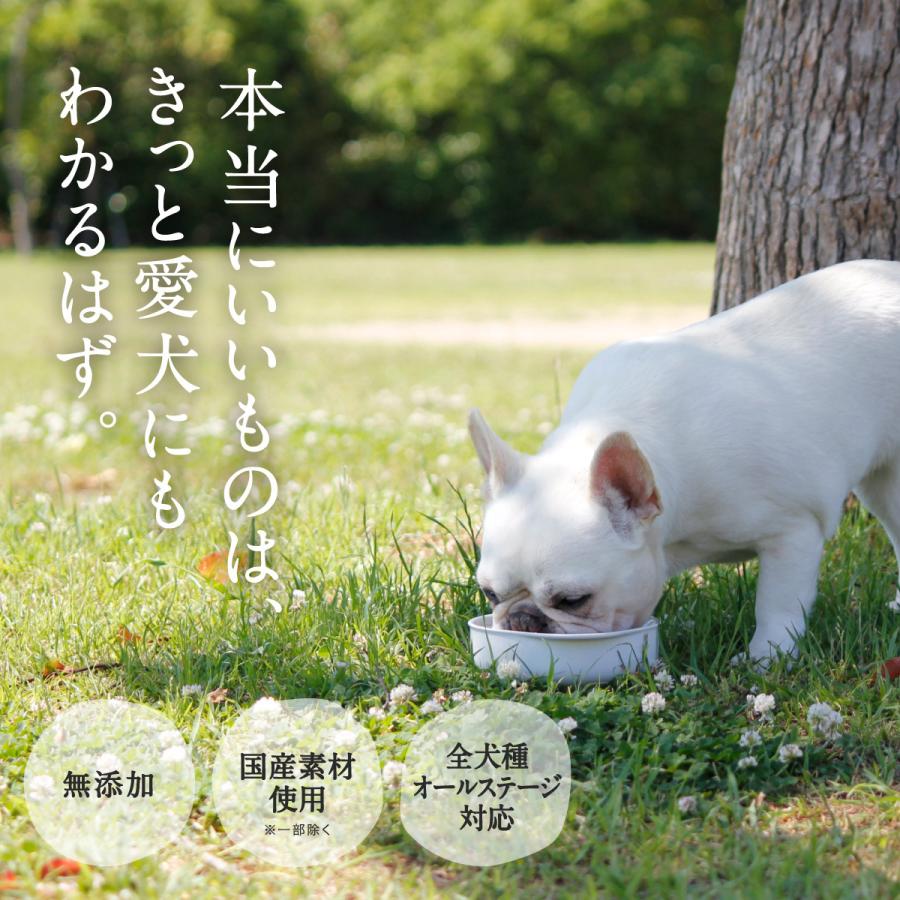 PERORI ドッグフード 無添加 国産 ペロリ 馬肉 通常粒 1Kg入り : 国産