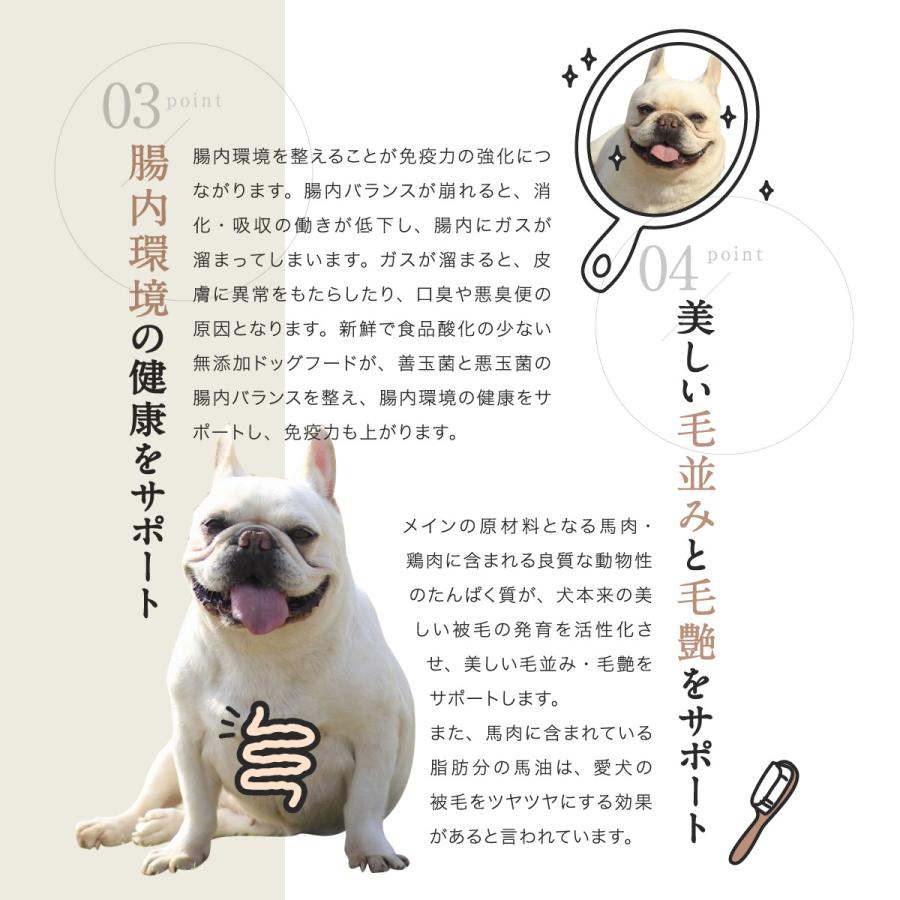 PERORI ドッグフード 無添加 国産 ペロリ 馬肉 通常粒 1Kg入り : 国産