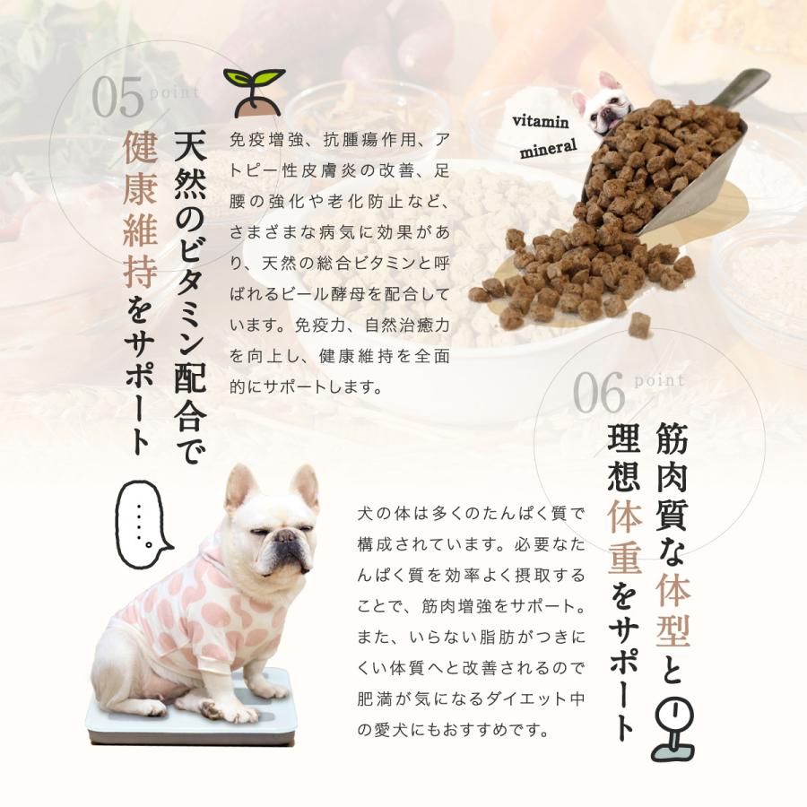 PERORI ドッグフード 無添加 国産 ペロリ 馬肉 小粒 800g入り×2袋