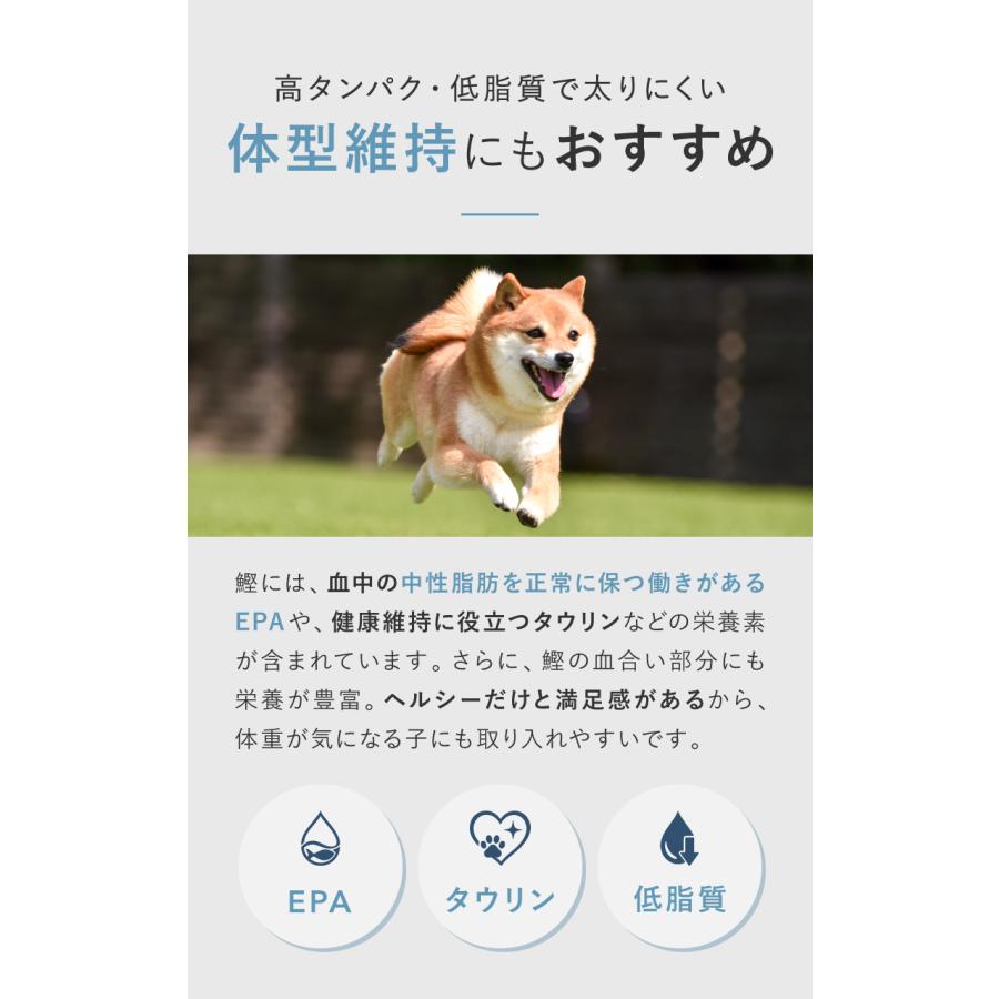 HEKA 【獣医師開発】 おやつ 1袋 犬 猫 国産 無添加 カツオ100% 個包装