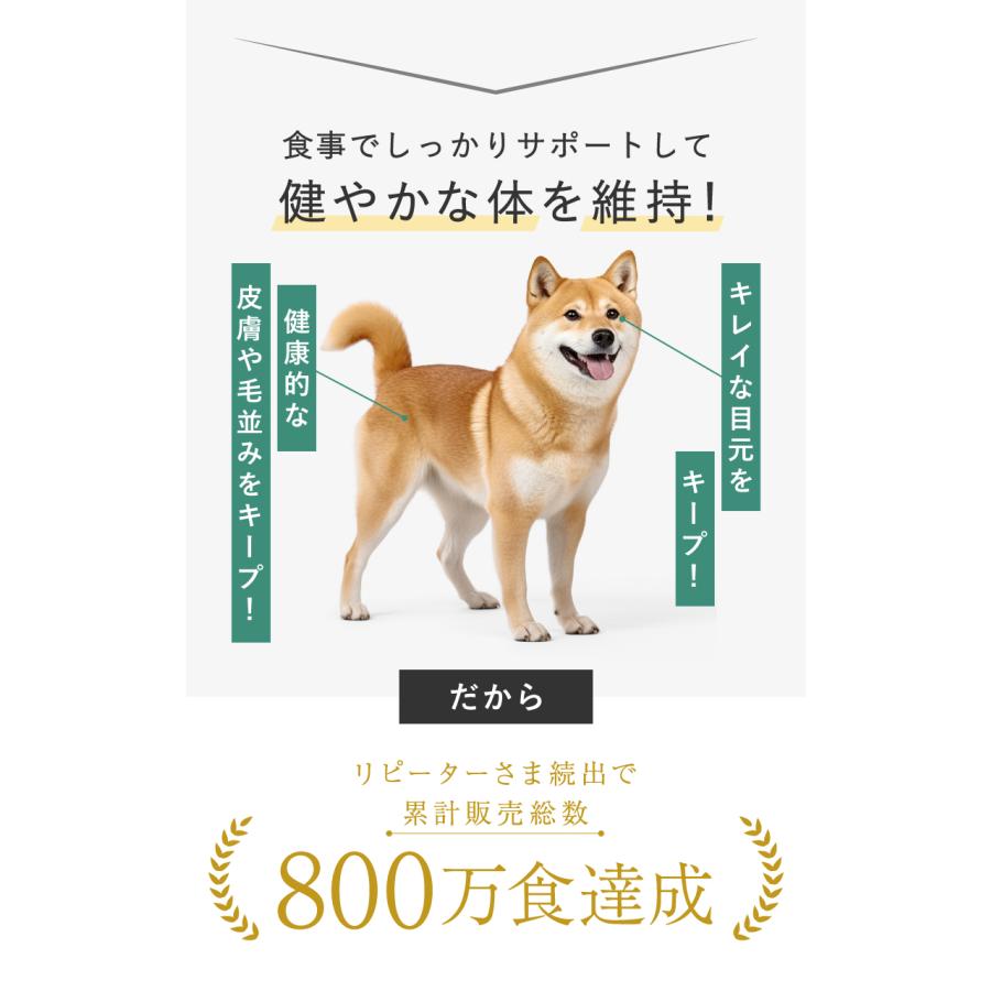 HEKA 【HEKA公式】犬 ドライフード グレインフリー ターキー 1.8kg