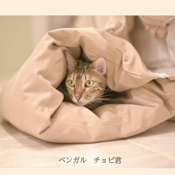 日本製 ペット用 羽毛寝袋２wayタイプ 大型犬 Lタイプ 羽毛布団 カバー付き 洗える犬用ベット ベット ペット用ベット 猫用ベット ペット用品 Pet2 L 明るい車用led光ネットジャパン 通販 Yahoo ショッピング