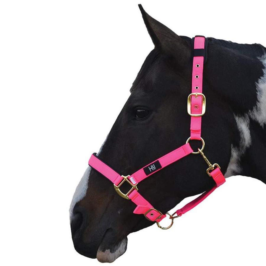 ハイ) Hy 馬用 デラックス パッド入り ヘッドカラー 頭絡 馬具 乗馬 