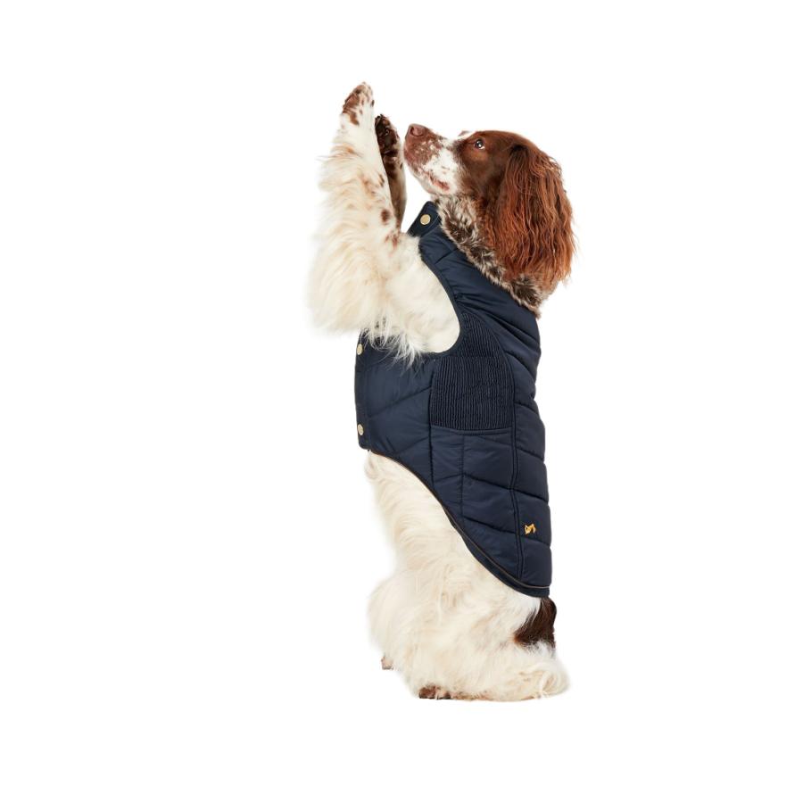 ジュールズ) Joules ワンちゃん用 Cherington コート 犬用 犬服