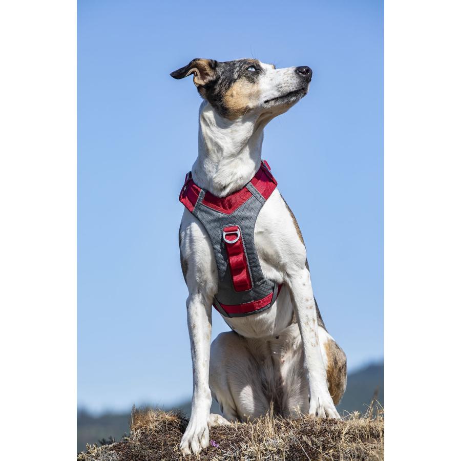 (カーゴ) Kurgo ワンちゃん用 Journey Air ハーネス 犬用 胴輪 ペット用品 TL4847 (レッド)_1