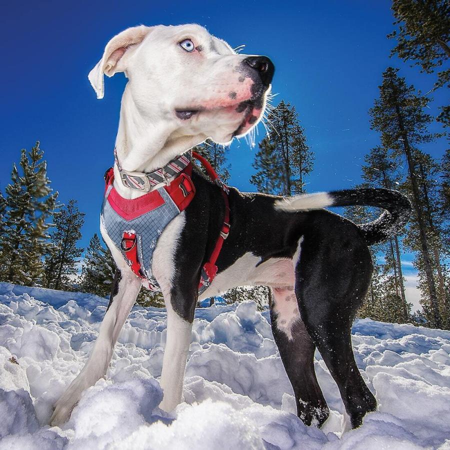 (カーゴ) Kurgo ワンちゃん用 Journey Air ハーネス 犬用 胴輪 ペット用品 TL4847 (レッド)_2