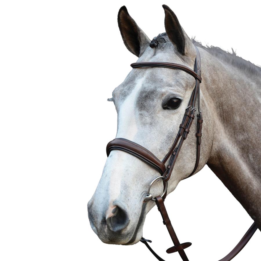 カレッジエイト) Collegiate 馬用 モノ クラウン パッド入り ライズド 