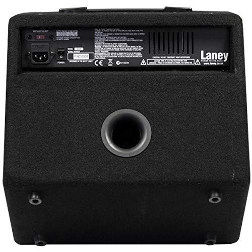 あす楽対応】【あす楽対応】Laney (レイニー) ボーカル 楽器用アンプ