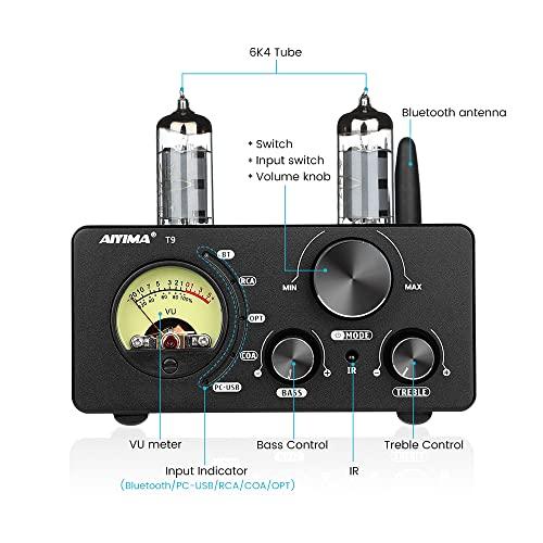 ANYIMA T10 真空管アンプ Amazon.co.jp: AIYIMA TUBE-T10 Bluetooth 5.0 Jan5654 TUbe