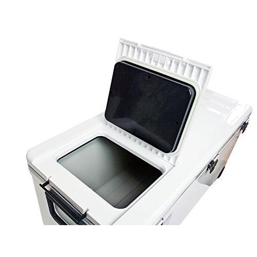 伸和(SHINWA) ホリデーランドクーラー48H 48H ホワイト 