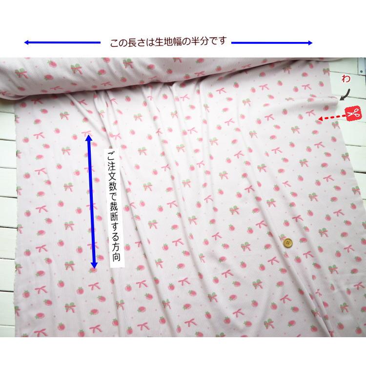 ニット 生地 ≪水彩タッチのいちごリボン柄 ソフトリブニット生地≫（70cm幅）(OKBF-49) 【10cm単位】ベビー服 生地 スタイ ロンパース 犬服【布 KNIT】 |  | 13