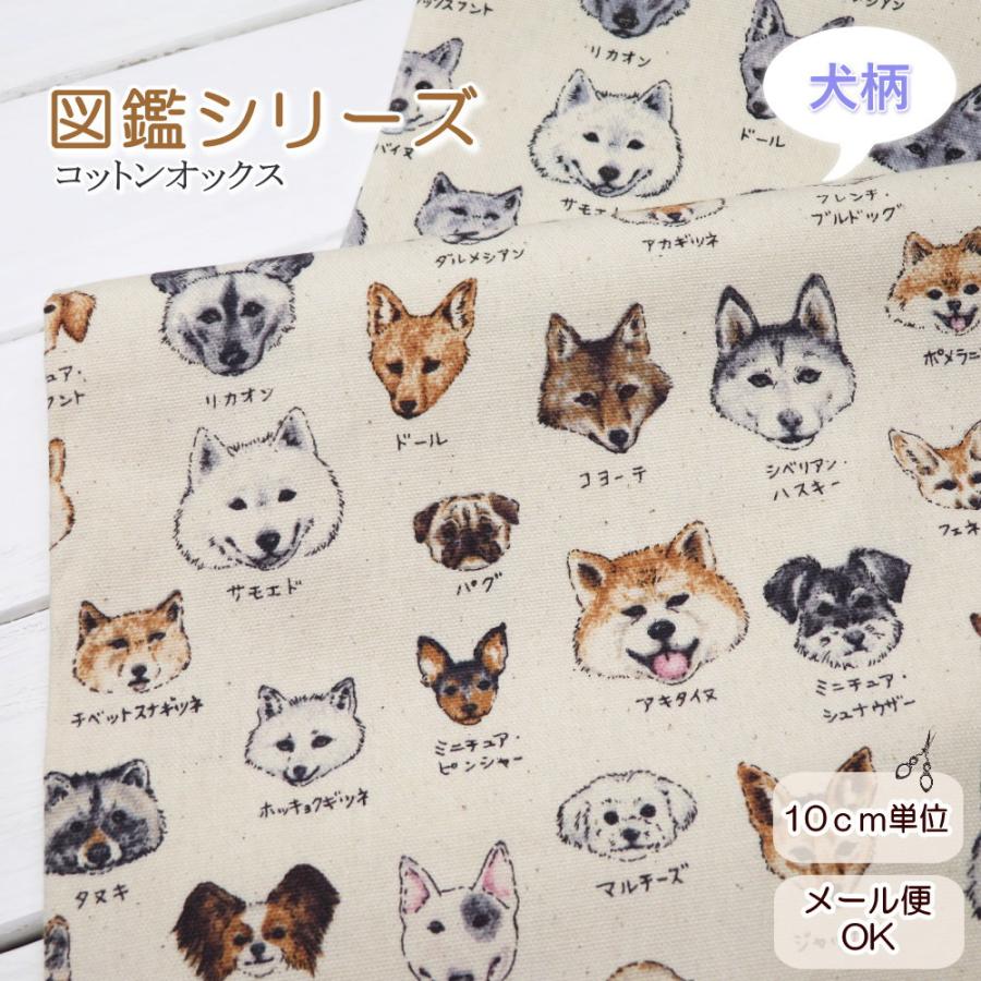 生地 犬柄 108cm巾 コットンオックス ≪犬のお顔図鑑≫(61000)図鑑