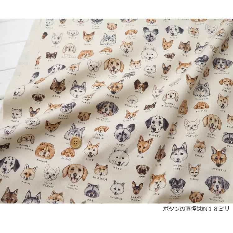 生地 犬柄 108cm巾 コットンオックス ≪犬のお顔図鑑≫(61000