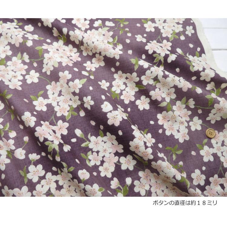 花柄 和柄 生地 綿100％≪桜さくら文様≫ サザンクロス生地(7148) 日本