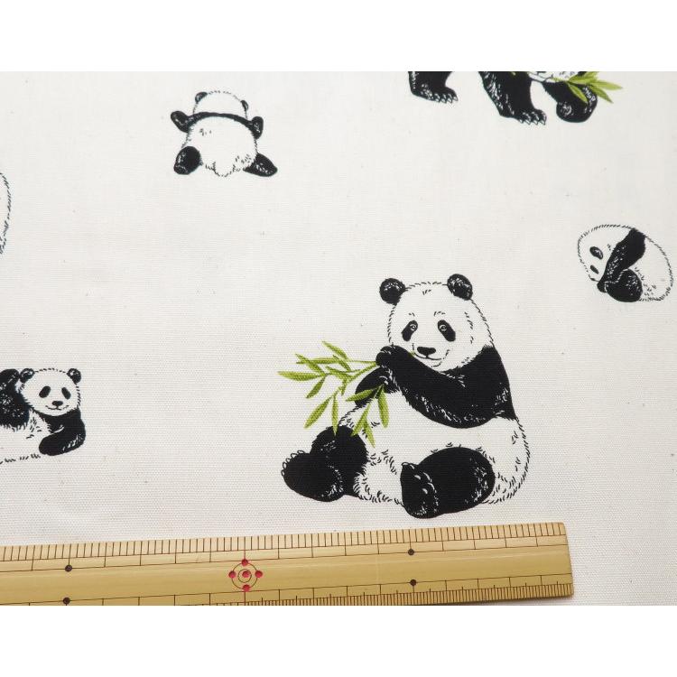 生地 パンダ柄 108cm巾 コットンオックス≪パンダファミリー≫(52108)  日本製【10cm単位】 オックス生地 布 バッグ布 ぱんだ柄 エプロン ポーチ |  | 05