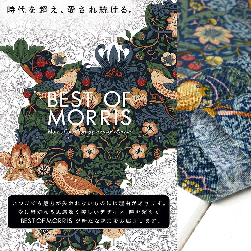 生地 BEST OF MORRIS≪イチゴ泥棒 STRAWBERRY THIEF≫2020 moda