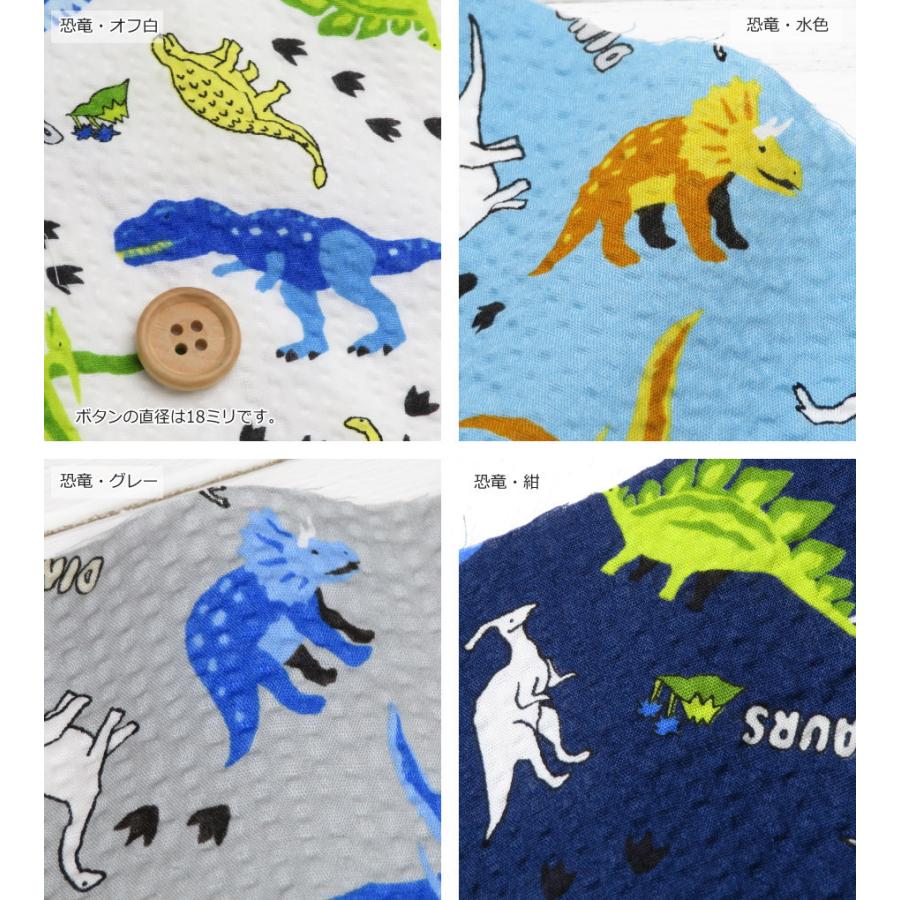 ゆかた生地 ポコポコ 夏生地 コットンリップル《恐竜とトンボ》(38130)リップル生地 108cm巾 日本製 甚平 サッカー生地 子供服 : 生地と雑貨のお店  PERURU - 通販 - Yahoo!ショッピング