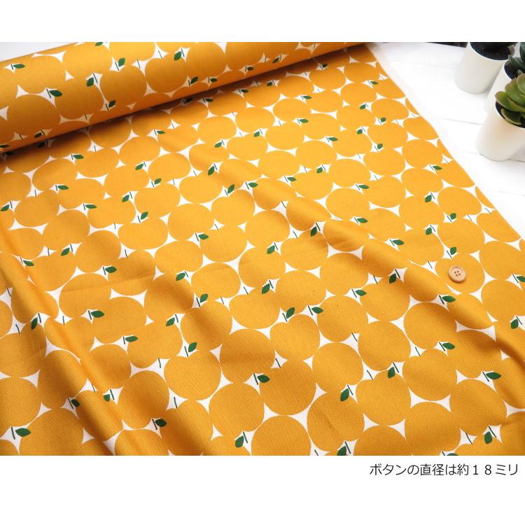 りんご柄 生地 108cm巾 コットンオックス≪みっちりリンゴ≫(850551