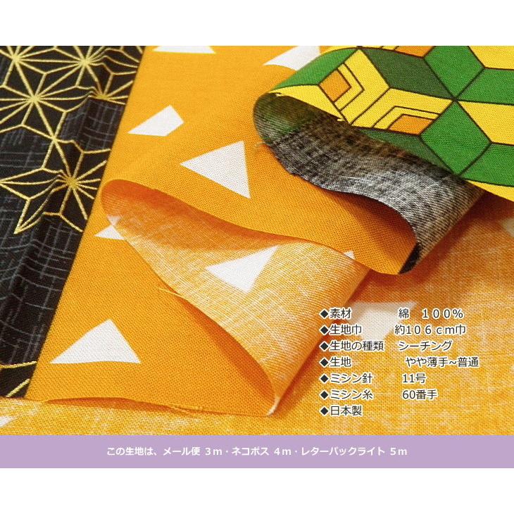 イチ太郎 DSC06657.jpg