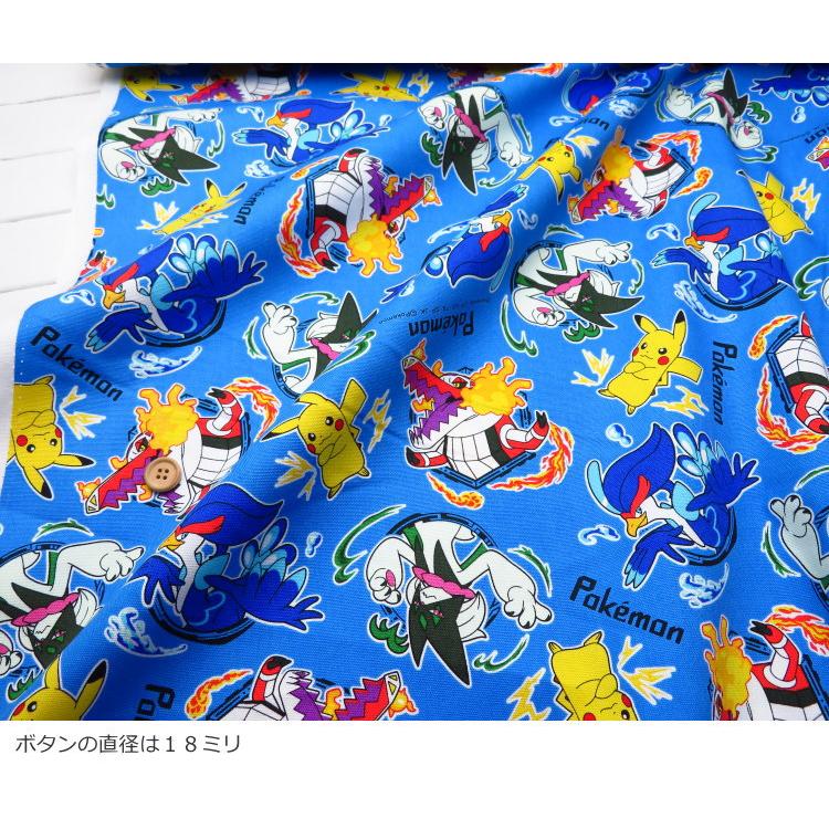 入園入学生地 コットンオックス≪ポケットモンスター≫(6129