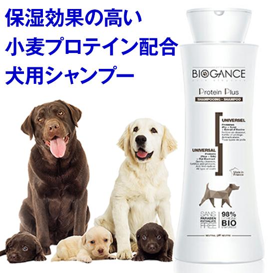 BIOGANCE 犬 シャンプー プロテインプラス 250ml 全犬種用 トリマー