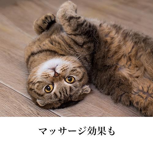 22正規激安 犬猫が嫌がらない上質コーム プロのトリマー推薦 グレーハウンド ベルギータイプ 187 ペット ブラッシング Discoversvg Com