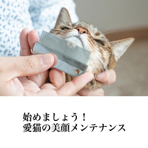 美顔対策 ハチコウ 目ヤニ取りクシ 犬 猫 くし コーム ブラシ ブラッシング 抜け毛 目やに 目ヤニ 涙やけ トイプードル チワワ Care Minicomb ぺったんpet 通販 Yahoo ショッピング