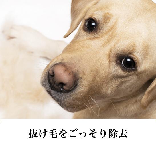 信頼のブランド　ファーミネーター 短毛用 Ｍ 中型犬 (正規品) 毛玉 抜け毛 対策 お手入れ 被毛ケア 抜け毛除去 ブラッシング ブラシ ねこ ペット 簡単 初心者_2