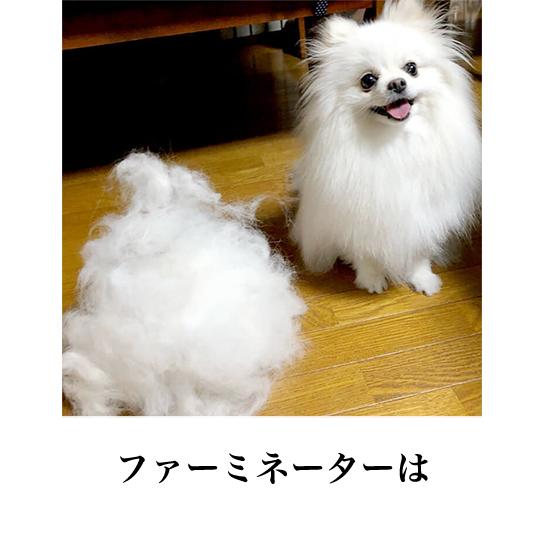 信頼のブランド　ファーミネーター 短毛用 Ｍ 中型犬 (正規品) 毛玉 抜け毛 対策 お手入れ 被毛ケア 抜け毛除去 ブラッシング ブラシ ねこ ペット 簡単 初心者_3