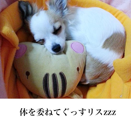 安心のリラックスタイム リスさん ( 犬 猫 あごまくら ) 落ち着く茶色でほっこリス♪ ぬいぐるみ おもちゃ 抱き 枕 遊び 睡眠 熟睡 かわいい  まったり｜pet-and-pet｜13