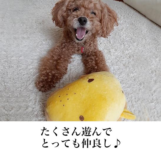 犬 猫 あごまくら リスさん 落ち着く茶色でほっこリス ぬいぐるみ 犬のおもちゃ 猫のおもちゃ 犬用品 猫用品 抱き 枕 睡眠 熟睡 Toy Agomakura Risu ぺったんpet 通販 Yahoo ショッピング
