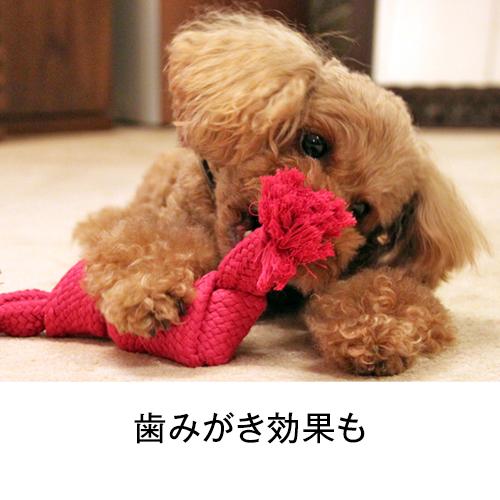 愛犬の喜ぶ顔が見たいなら スーパーロープ Sサイズ ( 犬