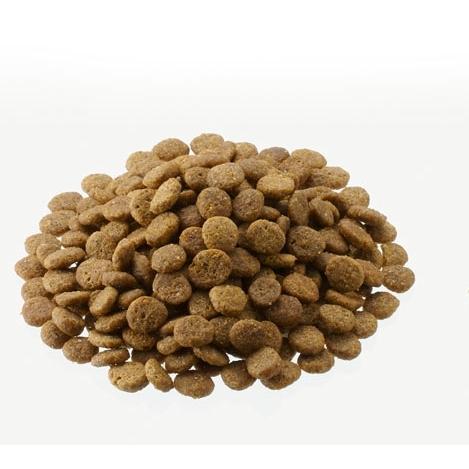 アルモネイチャー 猫用 ユリナリーサポート フレッシュチキン 400g 成