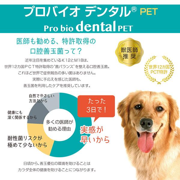 デンタルバイオ 500粒犬・猫用サプリメント新品未開封期限2027年9月送料無料 doubutsunotame_krs-095110-001000