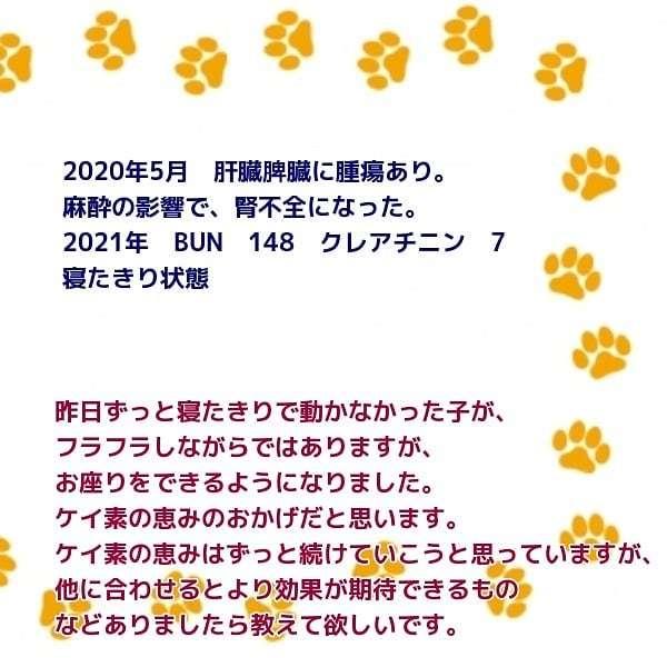 ケイ素の恵み 50ml 2本 と たんぽぽ茶 5包 セット＋シリンジ5ml 1本 